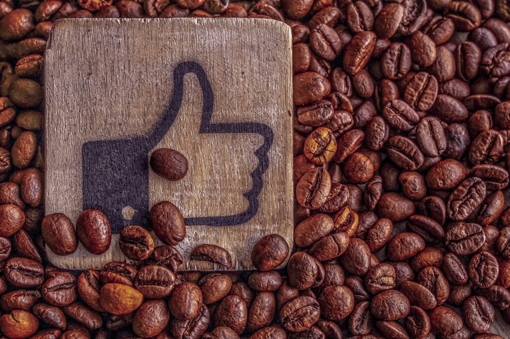 Fair trade certified. cocoa beans.