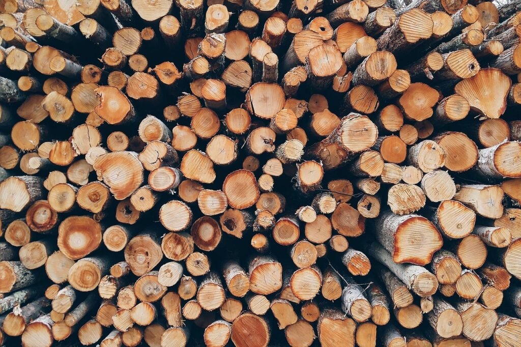 FSC sustainable wood, deforestation. forestry.