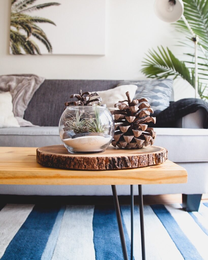 house, interior, couch, sofa, living, room, wooden, table, glass, display, conifer, cone, interior, couch, couch, couch, sofa, sofa, sofa, sofa, sofa, room, room, table